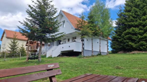 Vila Holiday - Golija